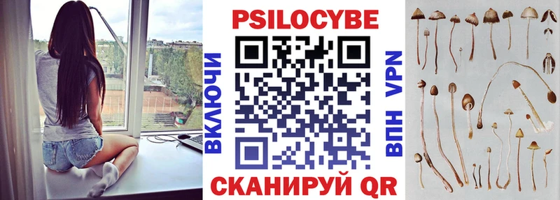 Псилоцибиновые грибы мицелий Курган