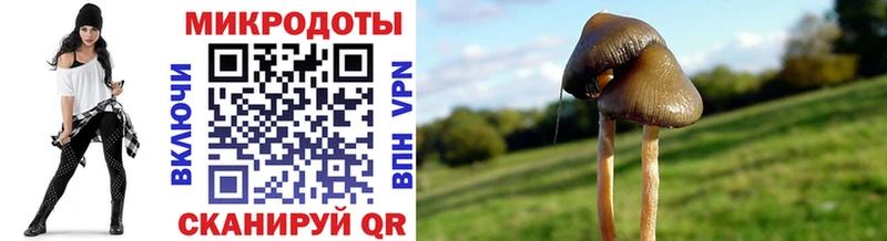 площадка формула наркота Курган Псилоцибиновые грибы мухоморы