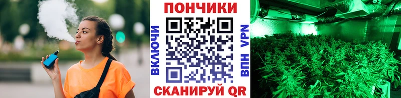 блэк спрут ONION  сайты даркнета официальный сайт  Канабис гибрид  Курган 